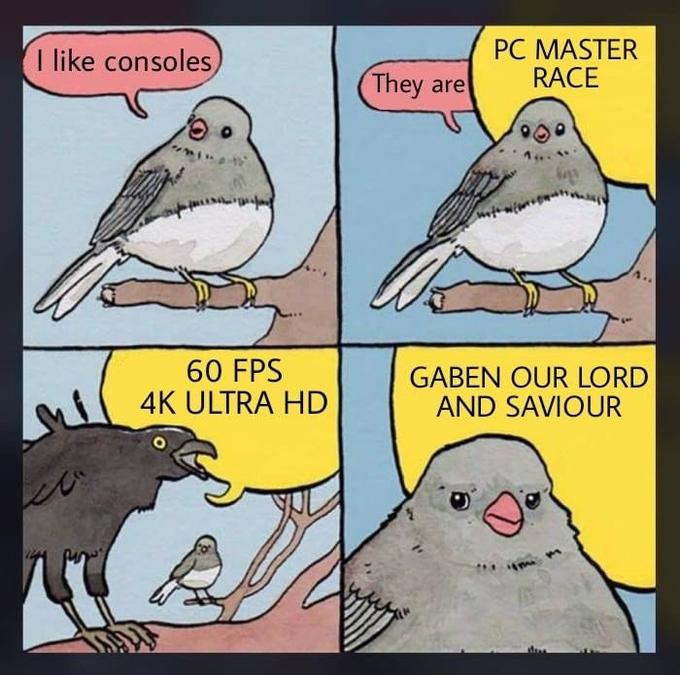 Master Race bird